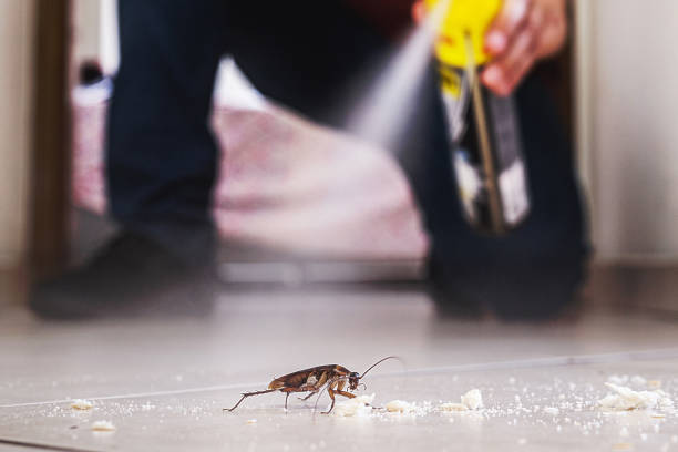 Pest Control Cost in Crosbyton, TX