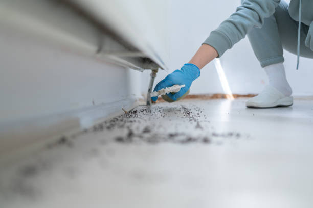 Best Wasp Removal Services  in Crosbyton, TX